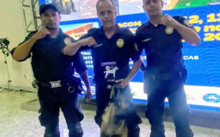 Cão da Guarda se destaca em Campeonato