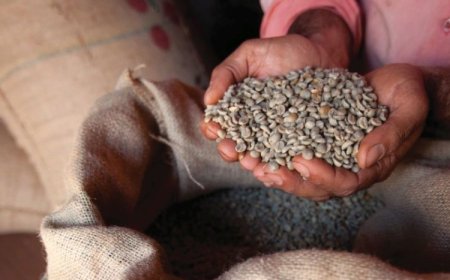 Agro mineiro supera mineração