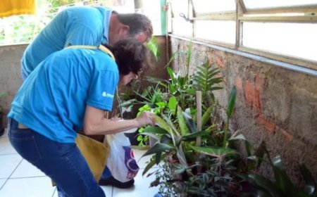 JF intensifica combate à dengue