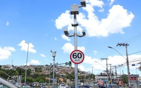 JF aplicou 456 multas de trânsito por dia