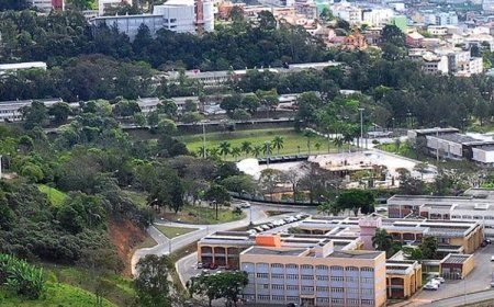 Professores da UFJF no ranking