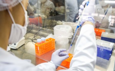 Mais de 4 mil casos de dengue em JF