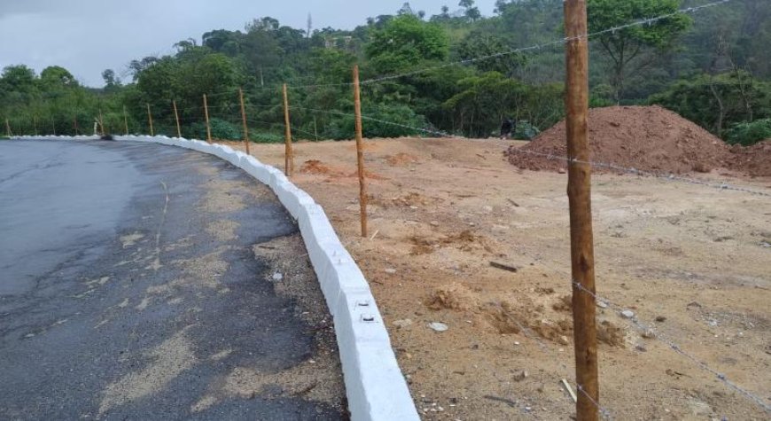 PBH inicia plantio de 2 mil mudas para transformar área degradada no Granja Werneck