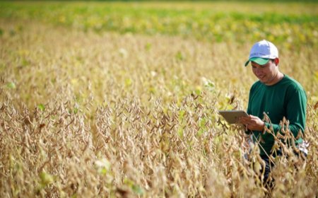 Residência agropecuária une teoria e prática
