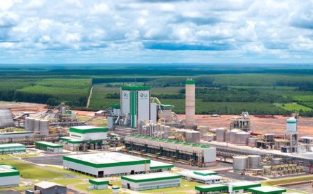 Fábrica impulsiona produção de celulose