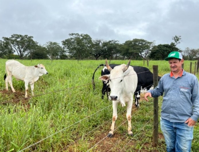 Agro + Verde recupera 3.300 hectares no oeste de Minas Gerais